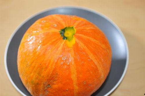 瓜炖着吃的,探寻瓜炖的独特风味