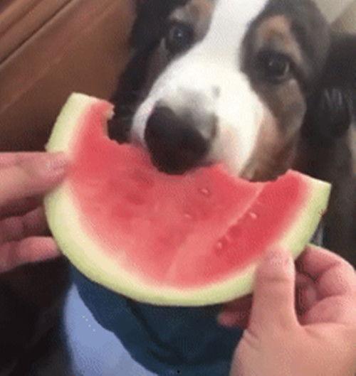 绅士群吃瓜,揭秘娱乐圈幕后故事