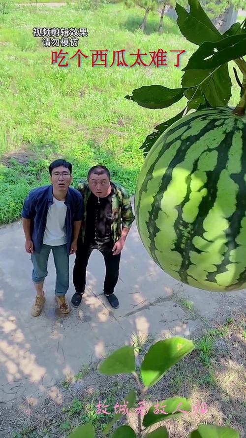 吃瓜传送群,揭秘网络社交圈的趣味与争议