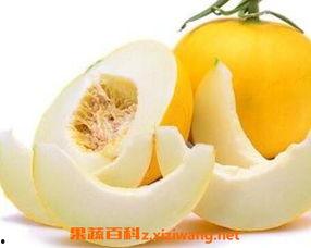 吃伊丽莎白瓜苦