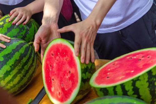 大学开学吃瓜,揭秘大学校园里的那些新鲜事儿