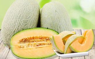 吃哈密瓜嗓子发痒,揭秘夏日消暑美食的潜在隐患
