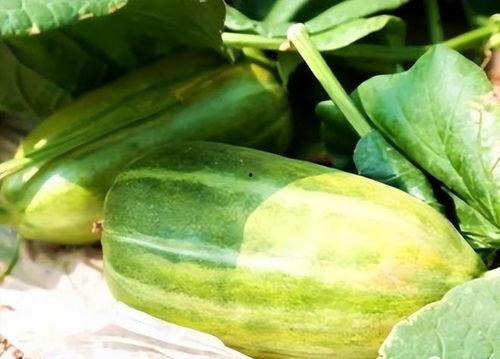 秋天的瓜怎么吃,解锁秋季瓜类美食新吃法